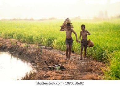 Asian children fisherman holding fish trap walking along the river nearby rice field or agricultural paddy field in countryside.