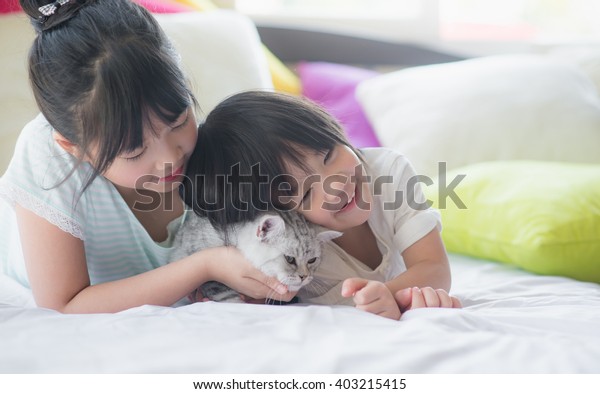 Asian Children Playing American Shorthair Cat Stock Photo Edit