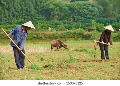 Asian Chinese Farm Workers Cultivating Soil In China Agriculture Field