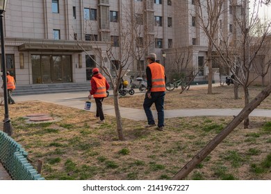 Asian Community Workers, Community Workers Wearing Orange Vests, Garden Workers, Old People Working, Old Chinese Workers In The Yard, People In Reflective Vests, Cutting Trees, Taking Care Of The Yard