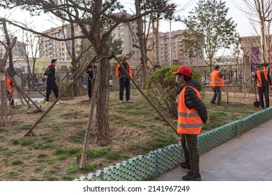 Asian Community Workers, Community Workers Wearing Orange Vests, Garden Workers, Old People Working, Old Chinese Workers In The Yard, People In Reflective Vests, Cutting Trees, Taking Care The Yard,