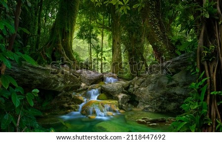 Asian deep jungle with waterfall