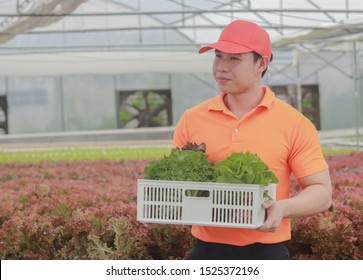 Asian delivery man holding a basket of fresh vegetables and organic vegetables from the farm. Vegetable cultivation and hydroponics. Health concept for agriculture - Powered by Shutterstock