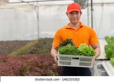 Asian delivery man taking food basket from the greenhouse farm delivering to customer - grocery shopping service concept - Powered by Shutterstock