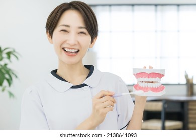 Asian Dental Hygienist Who Teaches Tooth Brushing.