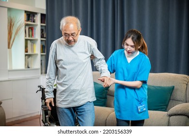 Asian Doctor Support Old Man To Getting Up To Exercise, Help Handicapped Elderly Stand Up, Woman Nurse Assisting Helping Senior Man Patient Get Up From Wheelchair For Practice Walking At Home