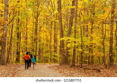 An Asian Family Goes For A Walk Into The Woods Amongst Beautiful Fall Foliage.