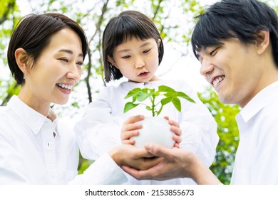 Asian Family Holding A Little Plant. Environment Concept. Childcare. Sustainable Lifestyle.