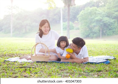 Asian Family Picnic