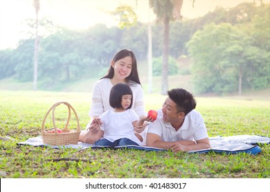 Asian Family Picnic In The Park