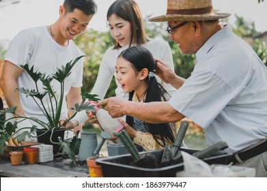 Asian Family Planting Tree In Garden At Home. Parent With Kid And Grandfather Lifestyle In House Yard.