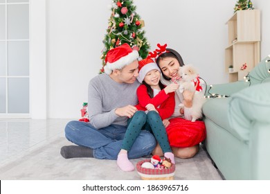 Asian Family Playing With Shih Tzu Dog In Relax Time, They Feeling Happy And Smile, Child Development And Family Activity, Celebration In Christmas Season