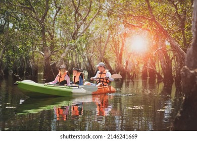 Asian Family Sailing Sea Kayak In Mangrove Forest