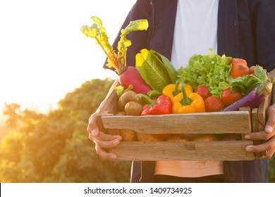 Asian farmer carry full basket of organic product, Green vegetable and fruit standing sunset background. - Powered by Shutterstock