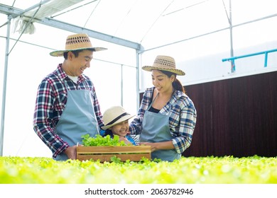 Asian Farmer Family Keep Hydroponic Vegetable Into Wood Basket.Happy Thai People Doing Activity In Organic Farm.Asain Gardenner Agricultural.