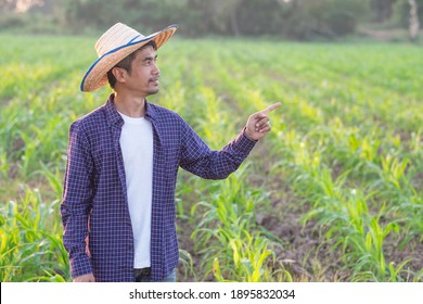 Asian Farmer Man Smile And Finger Pointing Side View At Farm