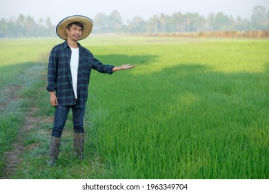 Asian Farmer Man Standing And Pose At Green Rice Farm. Full Body Image.