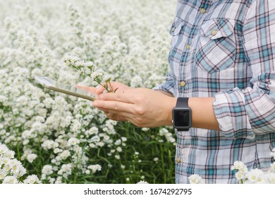 Asian Farmer using digital tablet to record data  in flower farm