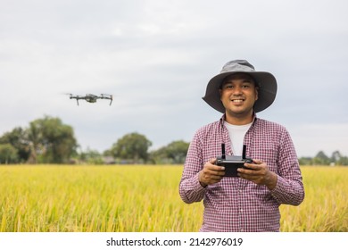 Asian Farmer Using Drone Flying Navigating Above Farmland Rice Field. A Young Farmer Controls A Drone In A Large Scale Survey Of Tenderly Touching A Young Rice In The Agricultural Plots