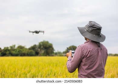 Asian Farmer Using Drone Flying Navigating Above Farmland Rice Field. A Young Farmer Controls A Drone In A Large Scale Survey Of Tenderly Touching A Young Rice In The Agricultural Plots