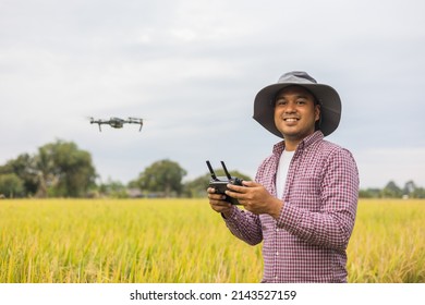 Asian Farmer Using Drone Flying Navigating Above Farmland Rice Field. A Young Farmer Controls A Drone In A Large Scale Survey Of Tenderly Touching A Young Rice In The Agricultural Plots