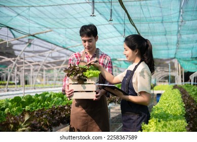 Asian farmer using hand holding tablet and organic vegetables hydroponic in greenhouse plantation. Female hydroponic salad vegetable garden owner working. Smart farming  - Shutterstock ID 2258367589