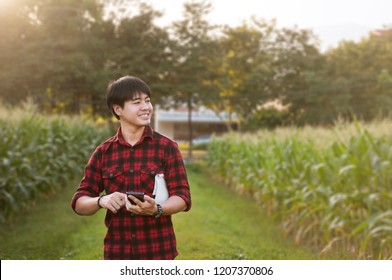 Asian Farmer Using Smartphone For Checking His Crops While Working In Cornfield, Innovation Technology For Smart Farm System, Agriculture Management, Digital Agriculture