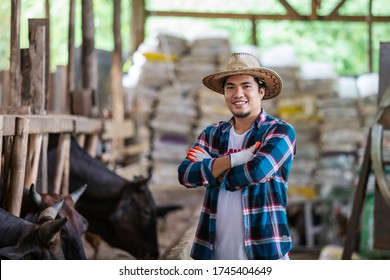 Asian Farmer With Wagyu – Japanese Shorthorn, Portrait Of A Wagyu Cow Of Japanese Origin In Farm Thailand