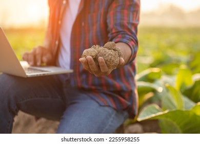 Asian farmer working in the young tobacco field. Man holding dry soil in corn field to testing, examining quality and minerals of soil. Smart farming Technology for agriculture Concept. - Shutterstock ID 2255958255
