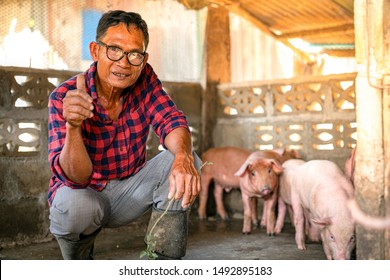 Asian piglet farmer