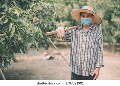 Asian Farmers Wear Masks To Prevent Outbreaks Of Corona Virus (COVID-19) And Air Pollution Pm2.5 On The Farm