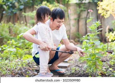 Asian Father And Daughter In The Little Vegetables Garden At The Outside , They Are Loosen The Soil In The Morning Time, Learning By Playing For Toddler, Love In Family Life Concept.