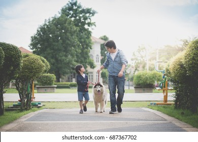 Asian Father And Son Walking With A Siberian Husky Dog In The Park