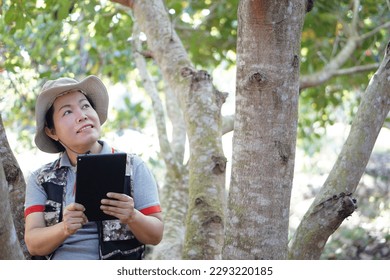 Asian female botanist is at the forest to survey and collect information of botanical plants by using smart tablet. Concept wireless technology smart device. Environmental research and education.      - Powered by Shutterstock