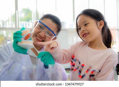 Asian female dentists are smiling and happy to tell Asian little girl how to brush their teeth, using artificial jaws. Dentistry, Teeth hygiene concept
