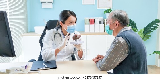 asian female doctor wearing face mask is showing liver model and explaining to elder senior man patient in hospital - Shutterstock ID 2178457257