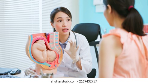 Asian Female Doctor Wearing White Coat Is Explaining Womb Model To Pregnant Woman In Hospital