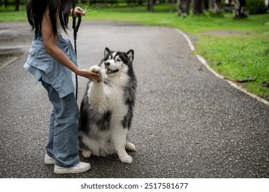 An Asian female dog owner training her dog while giving him a walk in a green public park, asking for handshake and talking with him. a cropped image with a copy space - Powered by Shutterstock