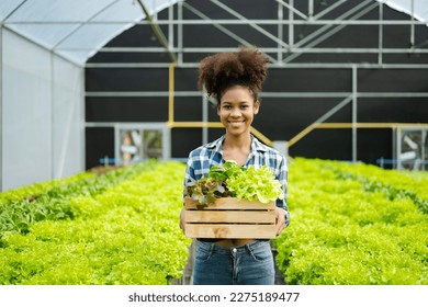 Asian female farmer working early on farm holding wood basket of fresh vegetables and tablet - Powered by Shutterstock