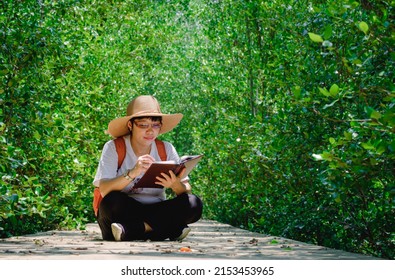 An Asian Female Forester Sitting On Walkway And Taking Note In Mangrove Forest At Natural Parkland