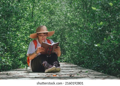 An Asian Female Forester Sitting On Walkway And Taking Note In Mangrove Forest At Natural Parkland