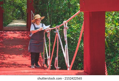 Asian Female Forester Taking Notes On Red Hanging Bridge In Mangrove Forest At Natural Parkland