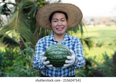 Asian Female Gardener Wears Hat, Plaid Shirt And Groves Hold Watermelon Fruit At Garden In The Evening. Concept : Satisfied In Agricultural Product. Home Garden And Community Plant.                   