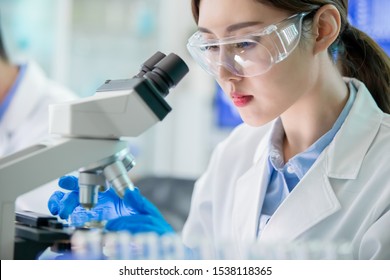 Asian Female Scientist Use Microscope In The Laboratory