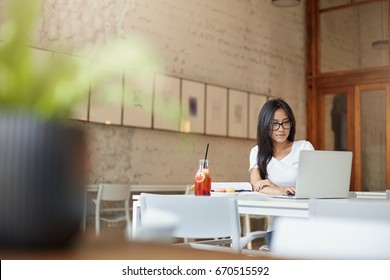 Asian Female Startup Entrepreneur Working In Open Space Cafe. Wide Shot Negative Space. Student Learning In Campus.