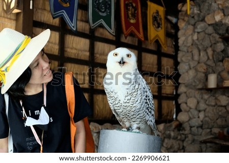 An Asian female tourist playing with a large white snowy owl at a zoo in Kanchanaburi, Thailand.