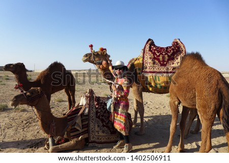 An asian female tourist posing with a group of dressed up camels in a desert near Kashan in Iran.