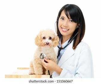 Asian Female Veterinarian