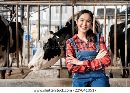 Asian Female worker posing on a cow dairy farm inside a cowshed. Positive Cheerful cowgirl working with the milking herd at cowhouse on farm
