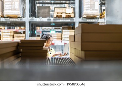 Asian female worker in safety vest sitting and working with computer laptop in storage warehouse. people, warehouse and industry concept